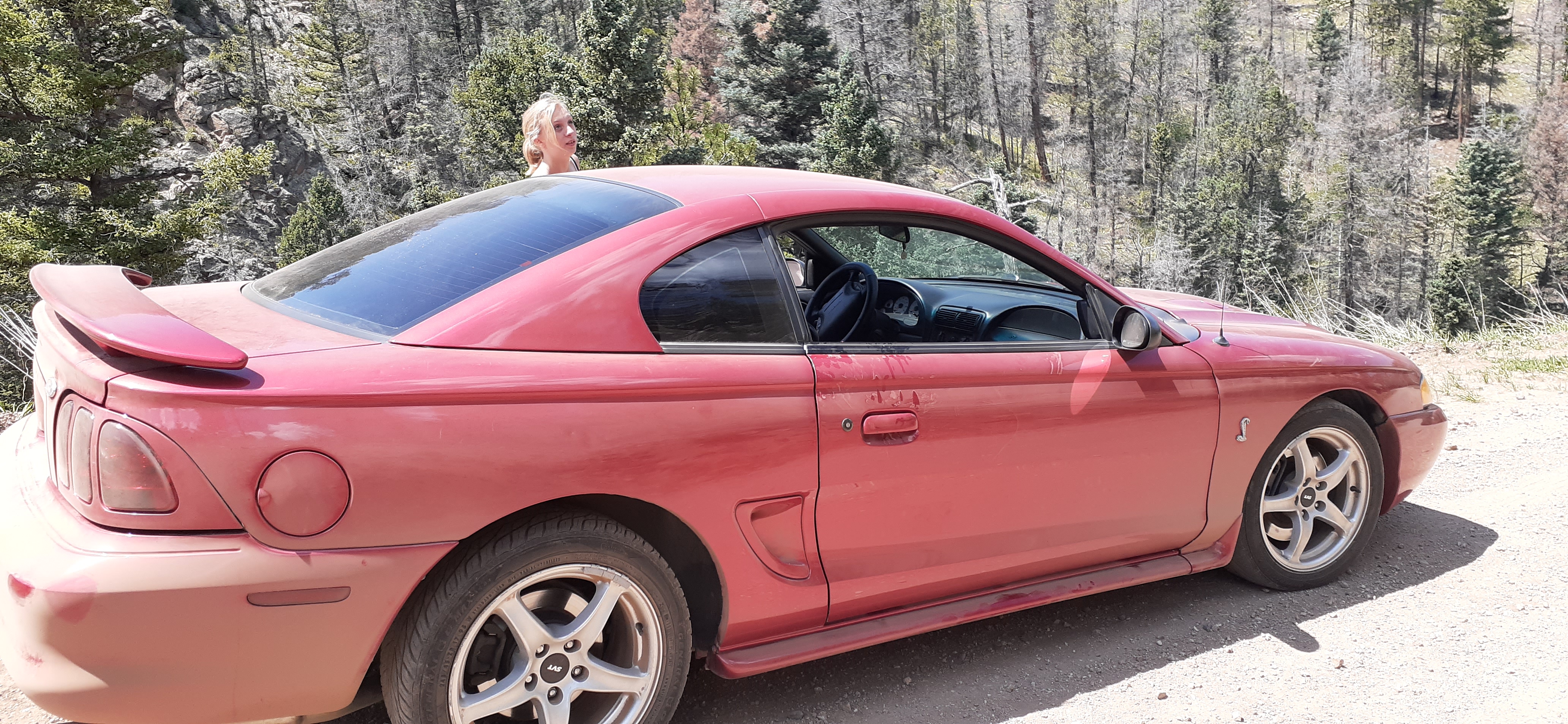 Southeast Colorado Antique Vehicle Club Mountain Roadside Lunch