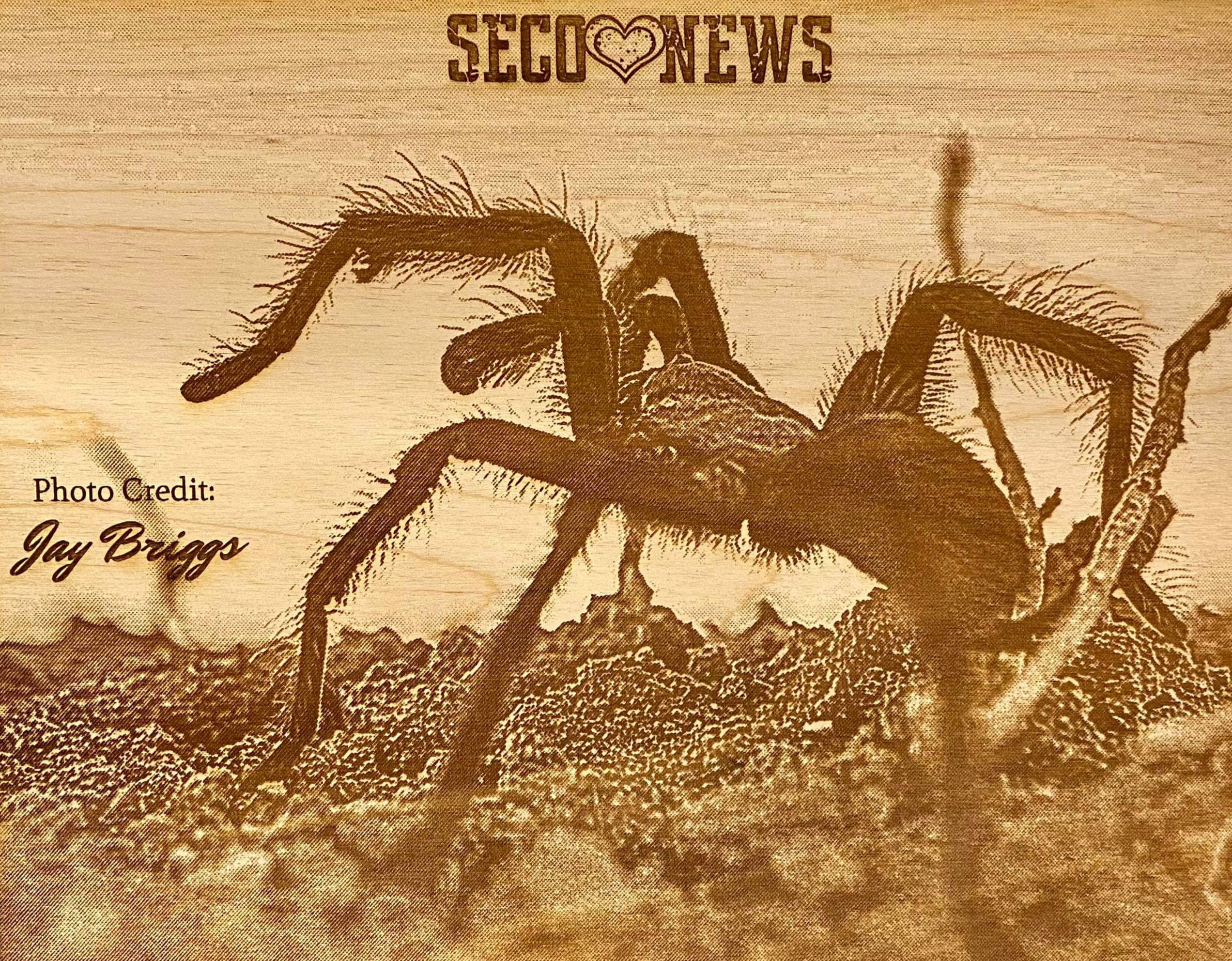 Klein Maker Space Tarantula Hunter seconews.org SECO NEWS 