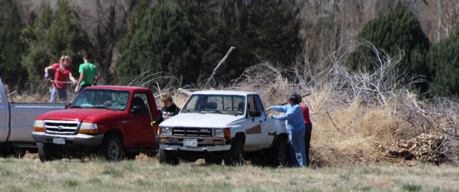 Boggsville Volunteers Clean Up SECO News seconews.org 