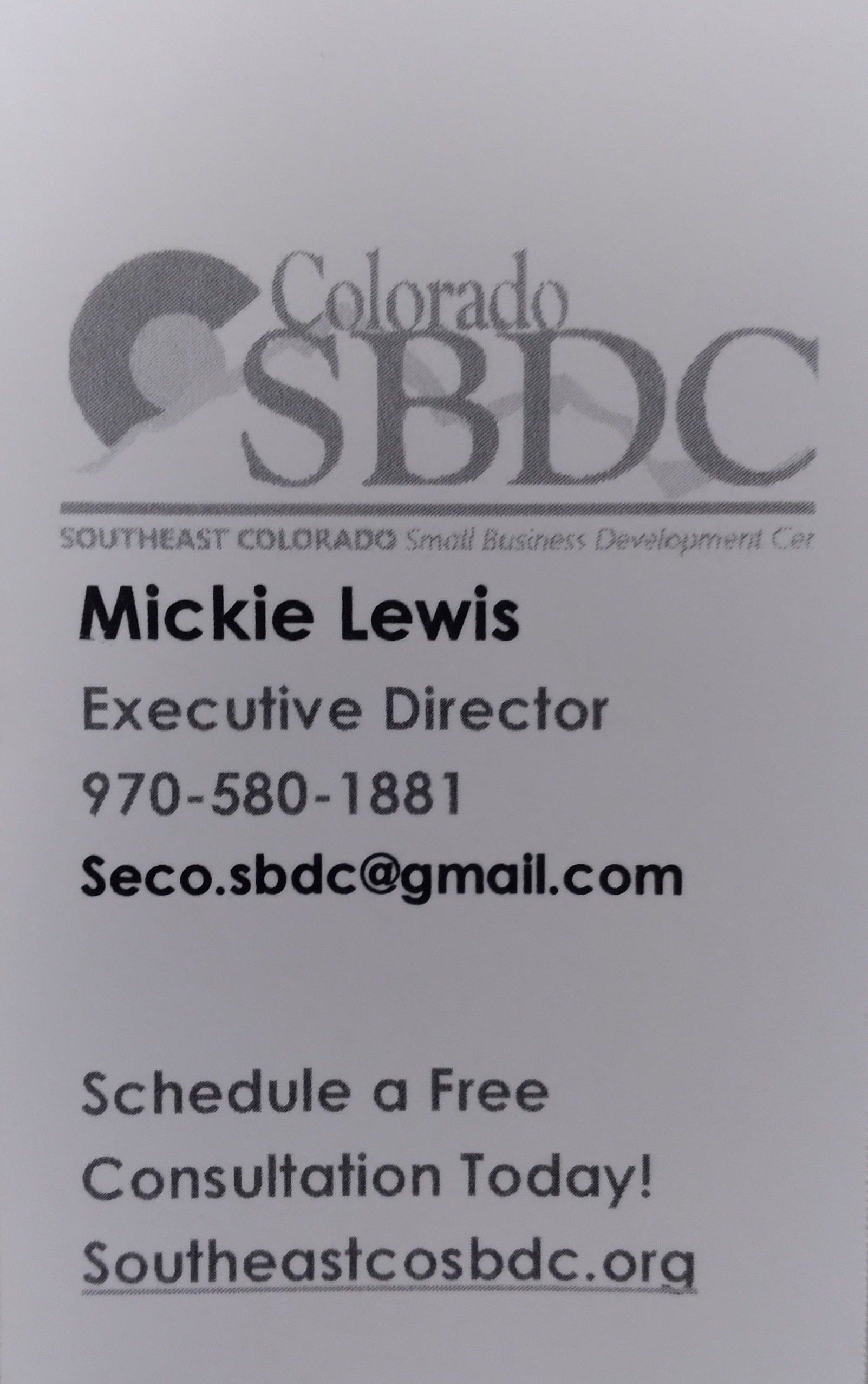 SECO SBDC Mickie Lewis Business Card