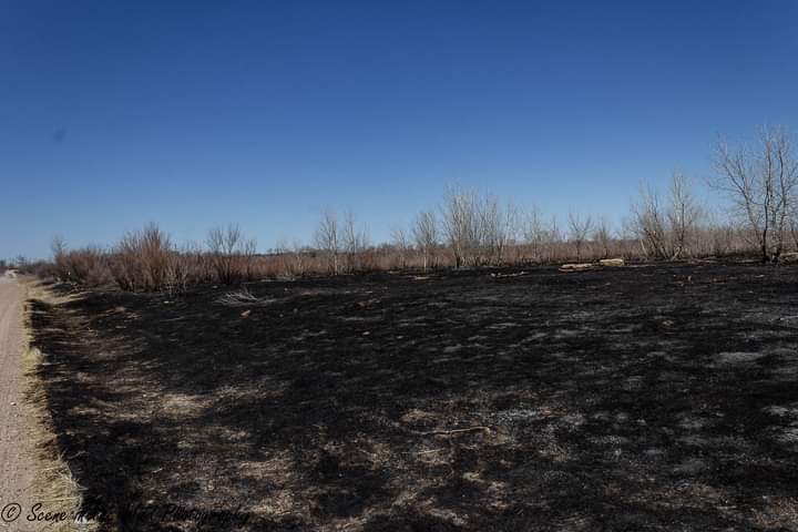 John Martin Wildlife Area Wildfire Damage Sue Keefer seconews.org 