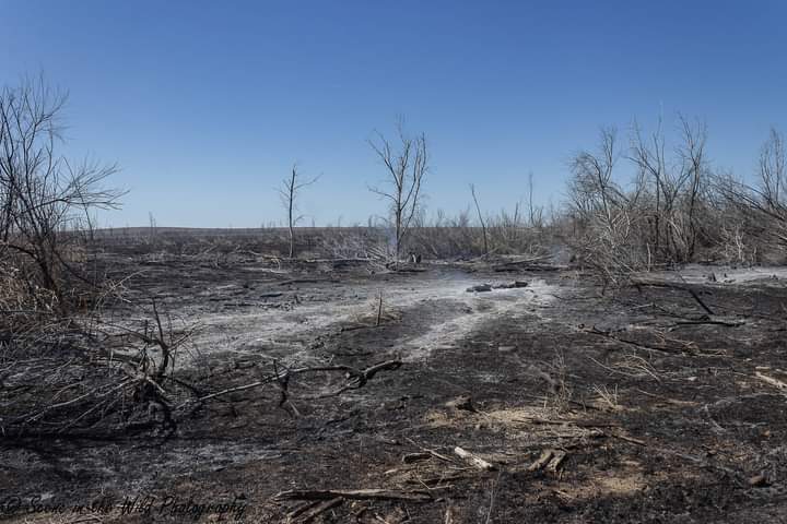 John Martin Wildlife Area Wildfire Damage Sue Keefer seconews.org 