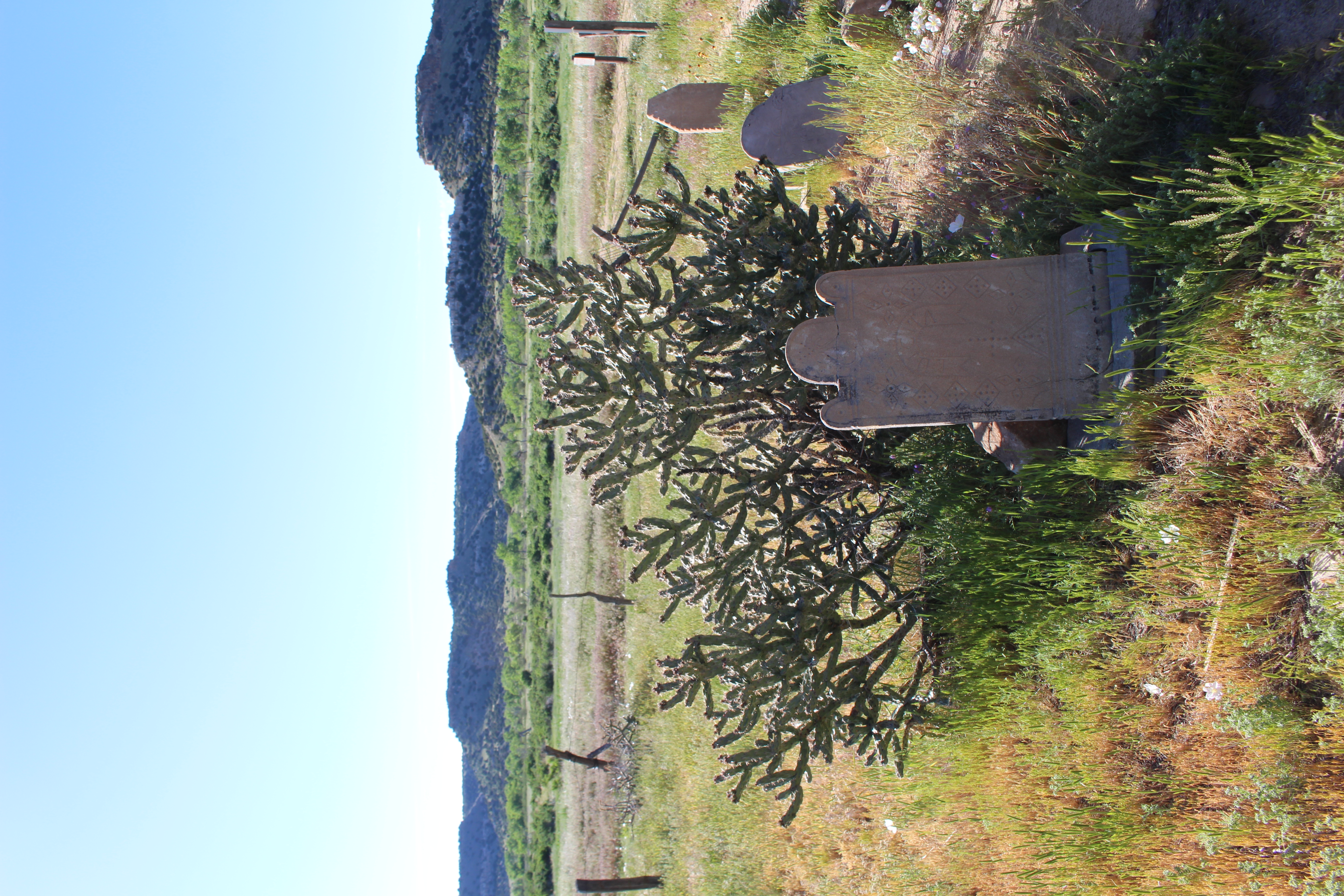 Dolores Mission ruins cemetery seconews.org