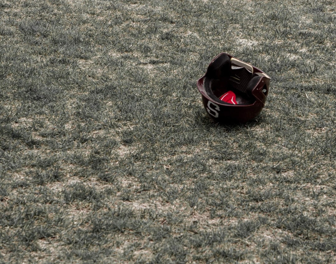 Swink Lions Baseball Photo by Michelle Valdez