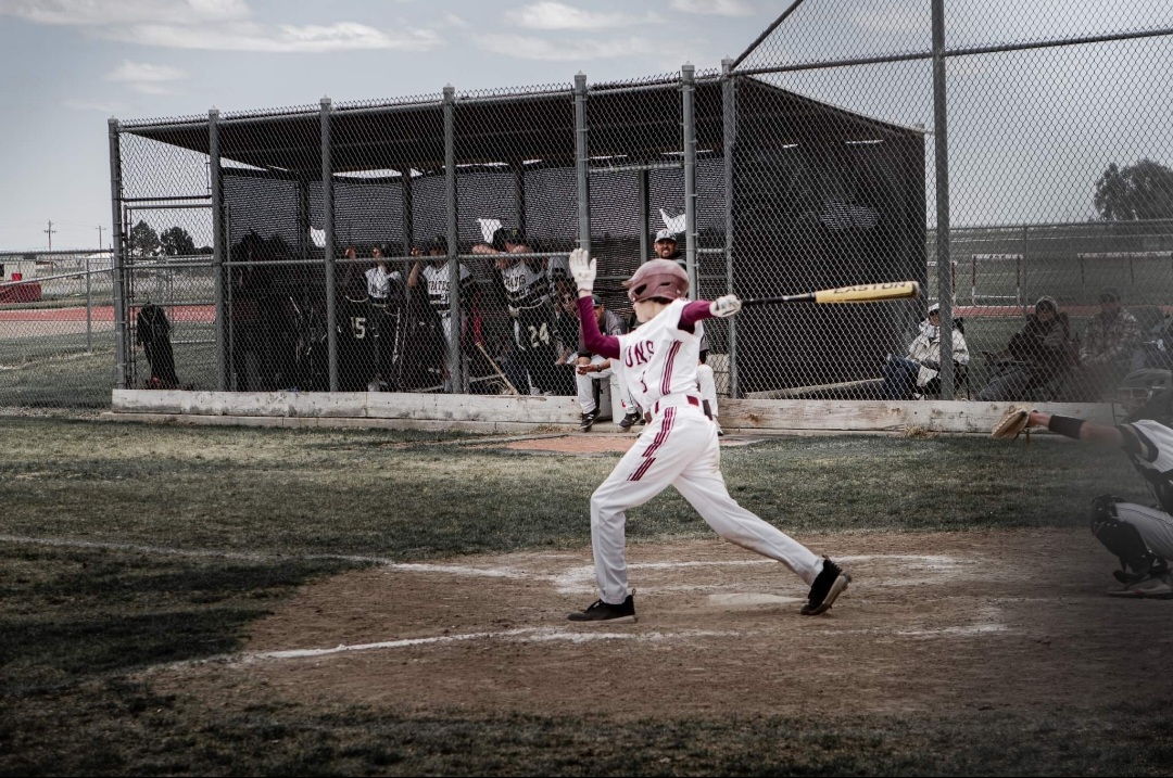 Swink Lions Baseball Photo by Michelle Valdez