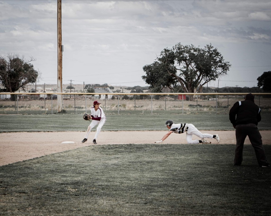 Swink Lions Baseball Photo by Michelle Valdez