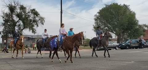 Holly Fair parade horses seconews.org 