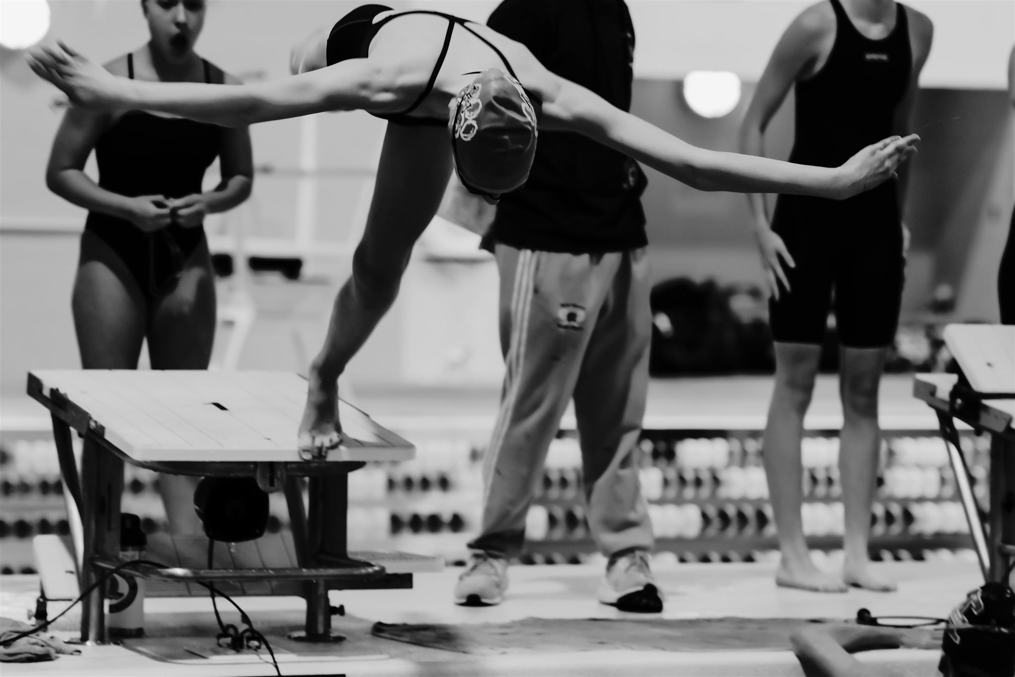 Arkansas Valley Swim Team State Swim by Ashley Bass PHOTOGRAPHY SECO News