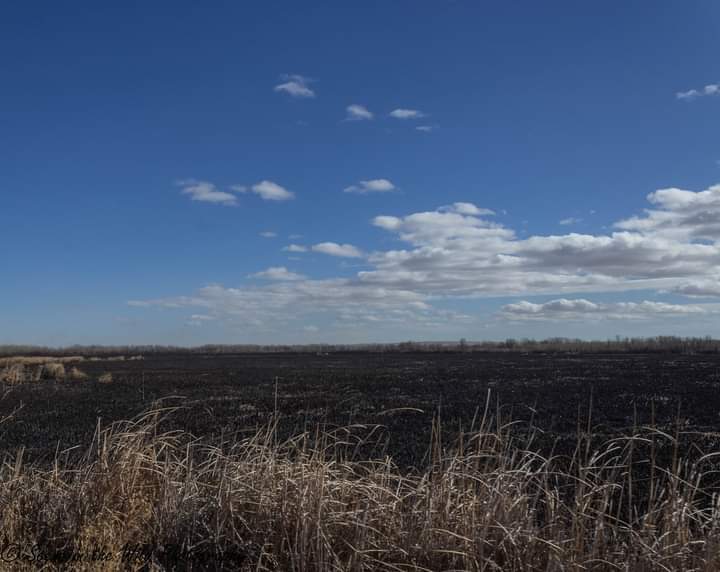 Las Animas Grass Fire Sue Keefer seconews.org 