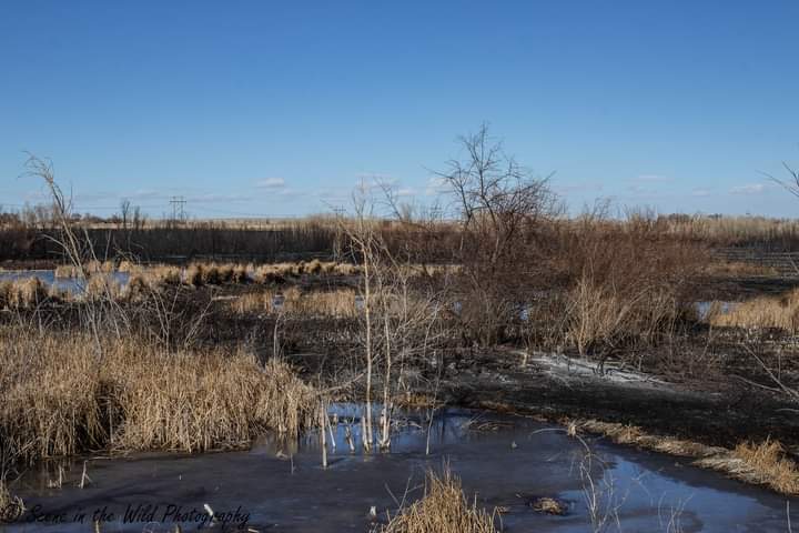 Las Animas Grass Fire Sue Keefer seconews.org 