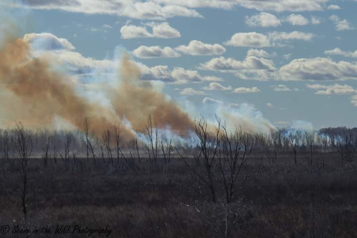 Las Animas Grass Fire Sue Keefer seconews.org 