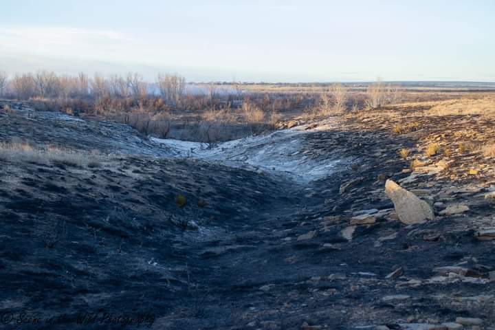 Las Animas Grass Fire Sue Keefer seconews.org 