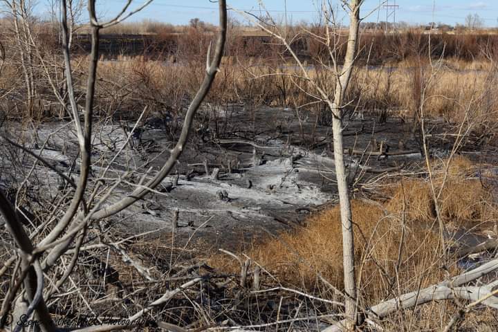 Las Animas Grass Fire Sue Keefer seconews.org 