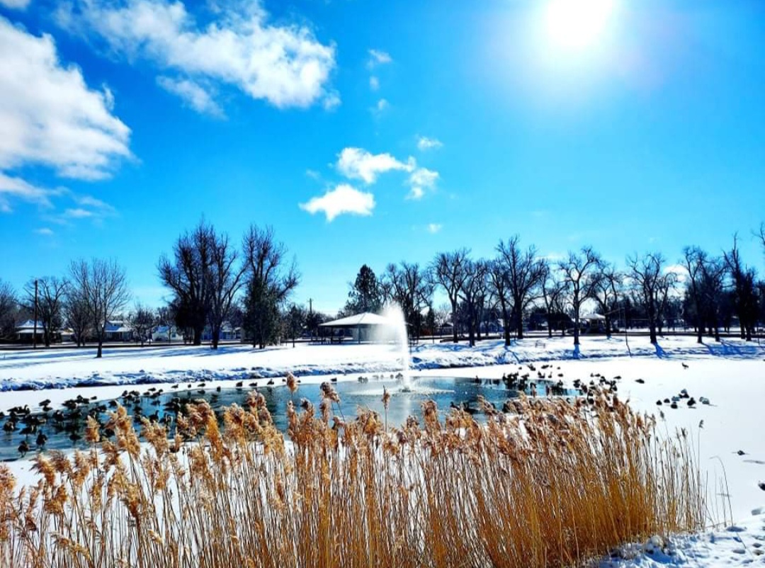 La Junta City Park Pond Photo by Aaron Torres SECO NEWS 