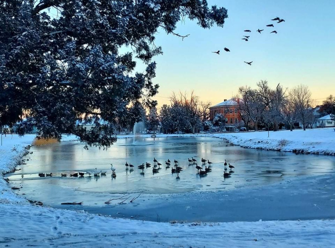 La Junta City Park Pond Photo by Aaron Torres SECO News